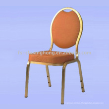 Chaises élégantes en acier doré (YC-ZG47)